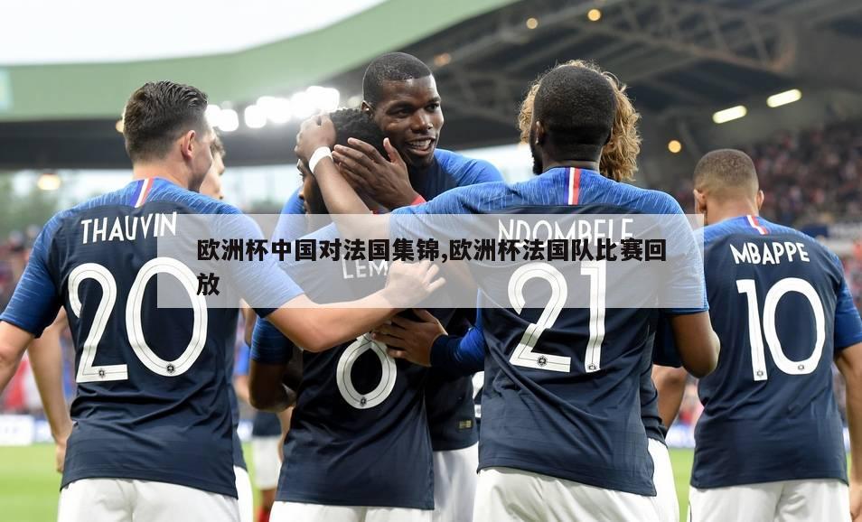 欧洲杯中国对法国集锦,欧洲杯法国队比赛回放