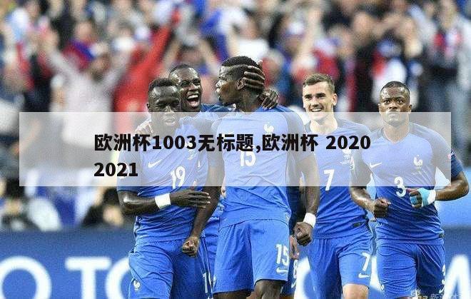 欧洲杯1003无标题,欧洲杯 2020 2021