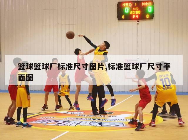 篮球篮球厂标准尺寸图片,标准篮球厂尺寸平面图